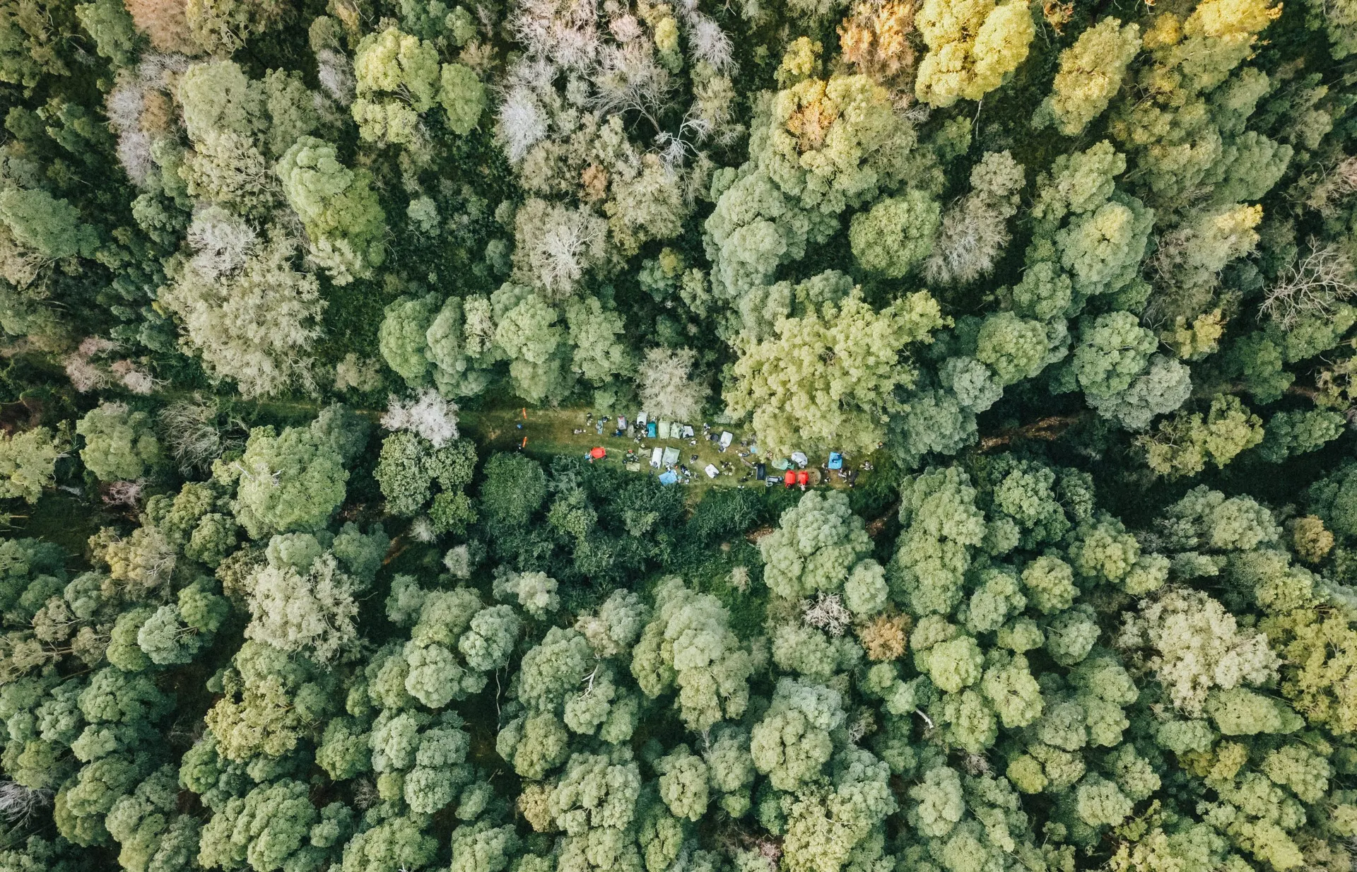 XCC Drone_April2021.JPG XCC Arial Shot